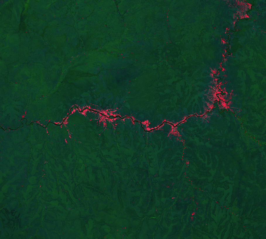 Forestry land with no vegetation
